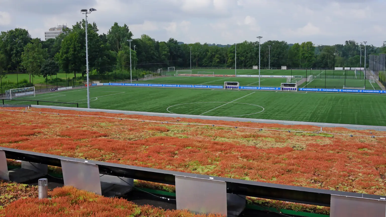 Bekkerveld_Extensief_Groendak_WEB (1)