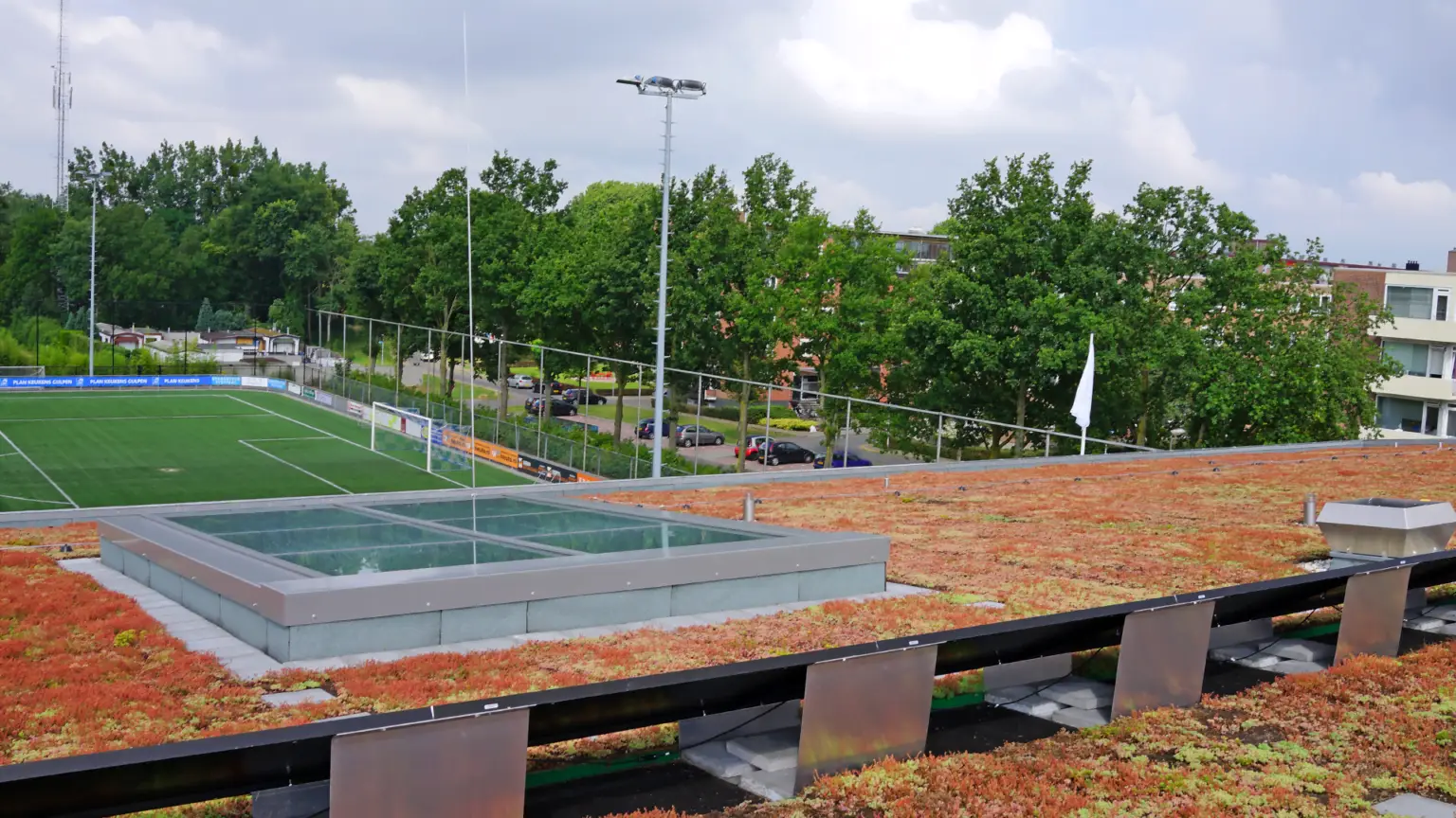 Bekkerveld_Extensief_Groendak_WEB (5)