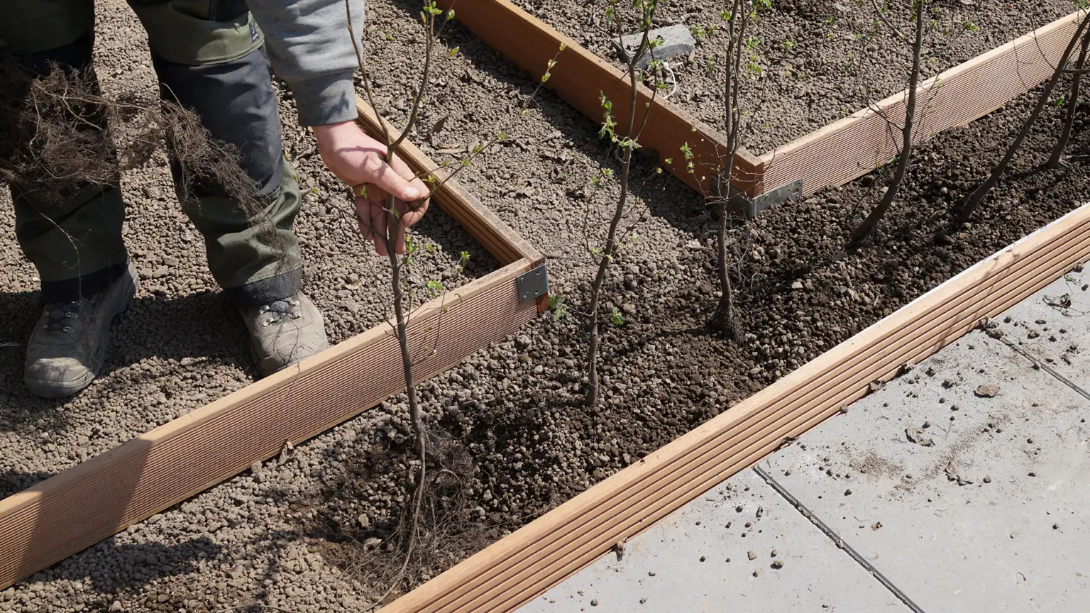 Centrumplan Waubach_aanleg daktuin_WEB (2)
