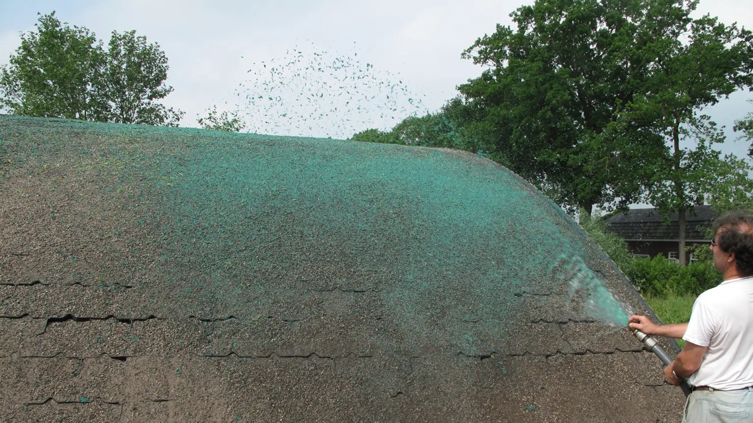 Meterik_steil dak_sedumdak door hydroseeding_WEB (10)