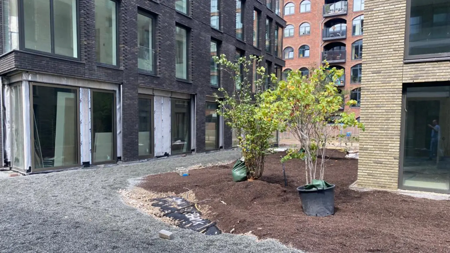 Cruquius_Verkeersdak met intensieve vegetatie - bomen in aanplant_WEB (11)