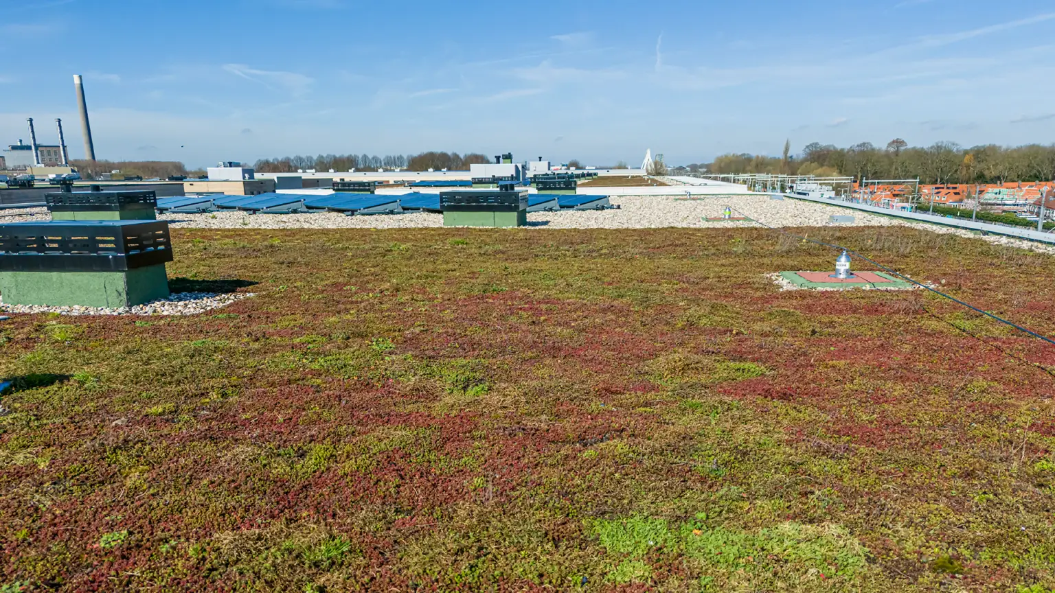 Spoorblok-Solitair_Nophadrain-014_WEB