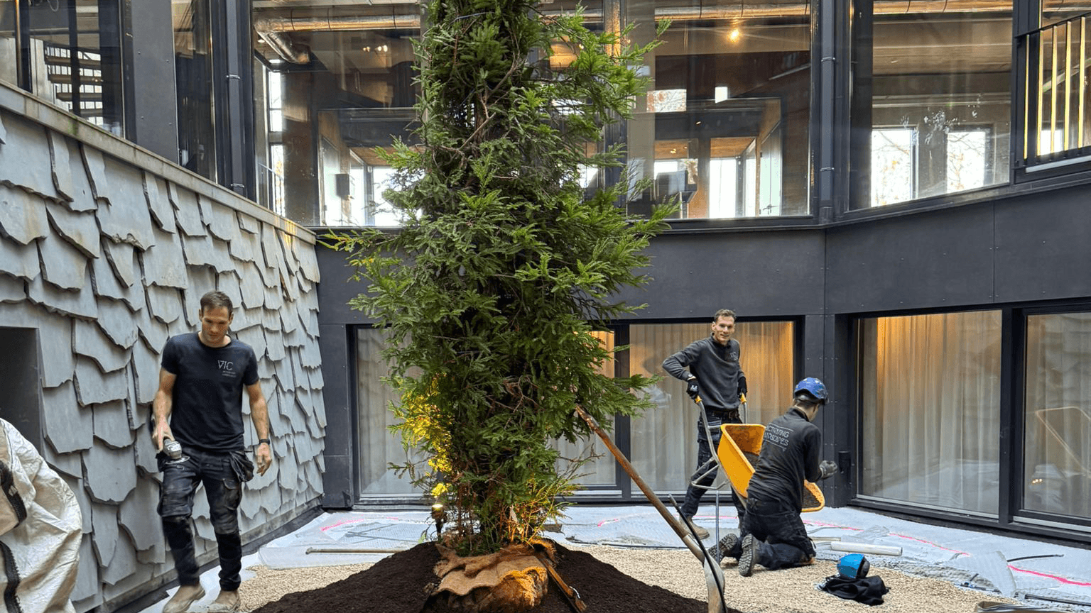 Binnentuin dak Movement Gym_2