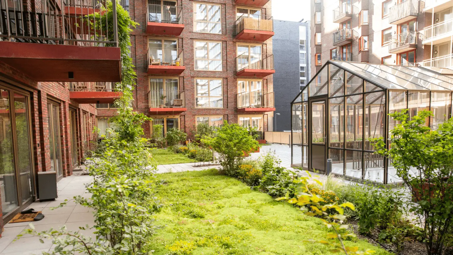 Groot Hartje Eindhoven Intensieve daktuin_2