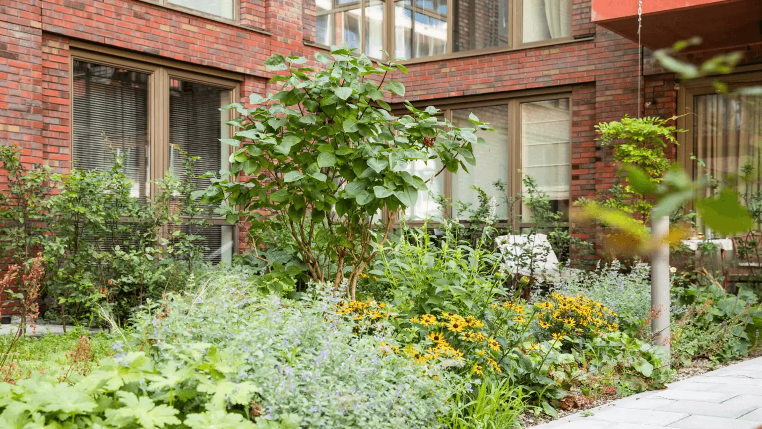 Groot Hartje Eindhoven Intensieve daktuin_3