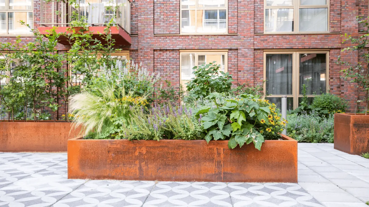 Groot Hartje Eindhoven Intensieve daktuin_6