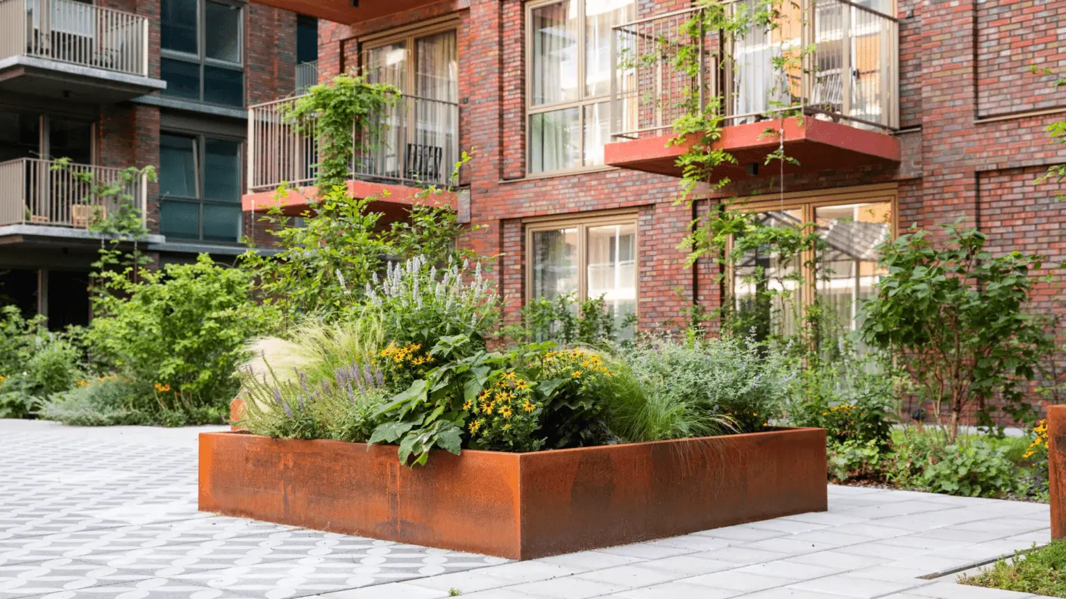 Groot Hartje Eindhoven Intensieve daktuin_7
