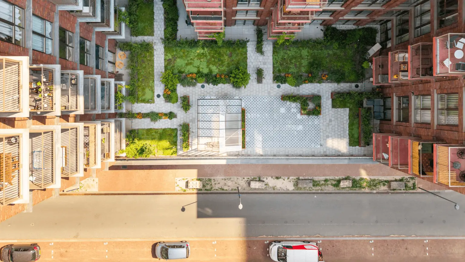 Groot Hartje Eindhoven Intensieve daktuin_8